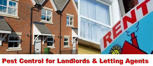 Wolverhampton Pest Control for Landlords and Lettting Agents Wolverhampton Pest Control for Landlords and Lettting Agents