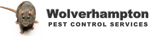 Wolverhampton Pest Control Services offers professional pest control for residential and commercial customers in Wolverhampton, Birmingham and The West Midlands. Wasp Nest treatment or removal at a fixed price £45.00 no extra, contact us on 01922 610 932 / 0121 450 9784  for more information on our pest control services.